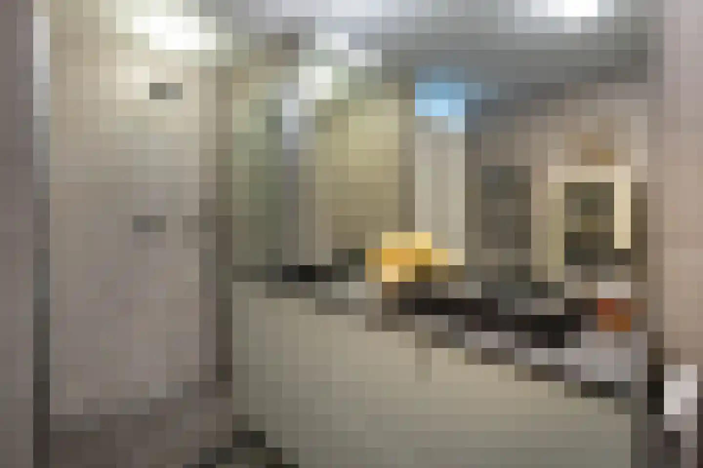 De Wittenkade 102 A Amsterdam thumbnail 14