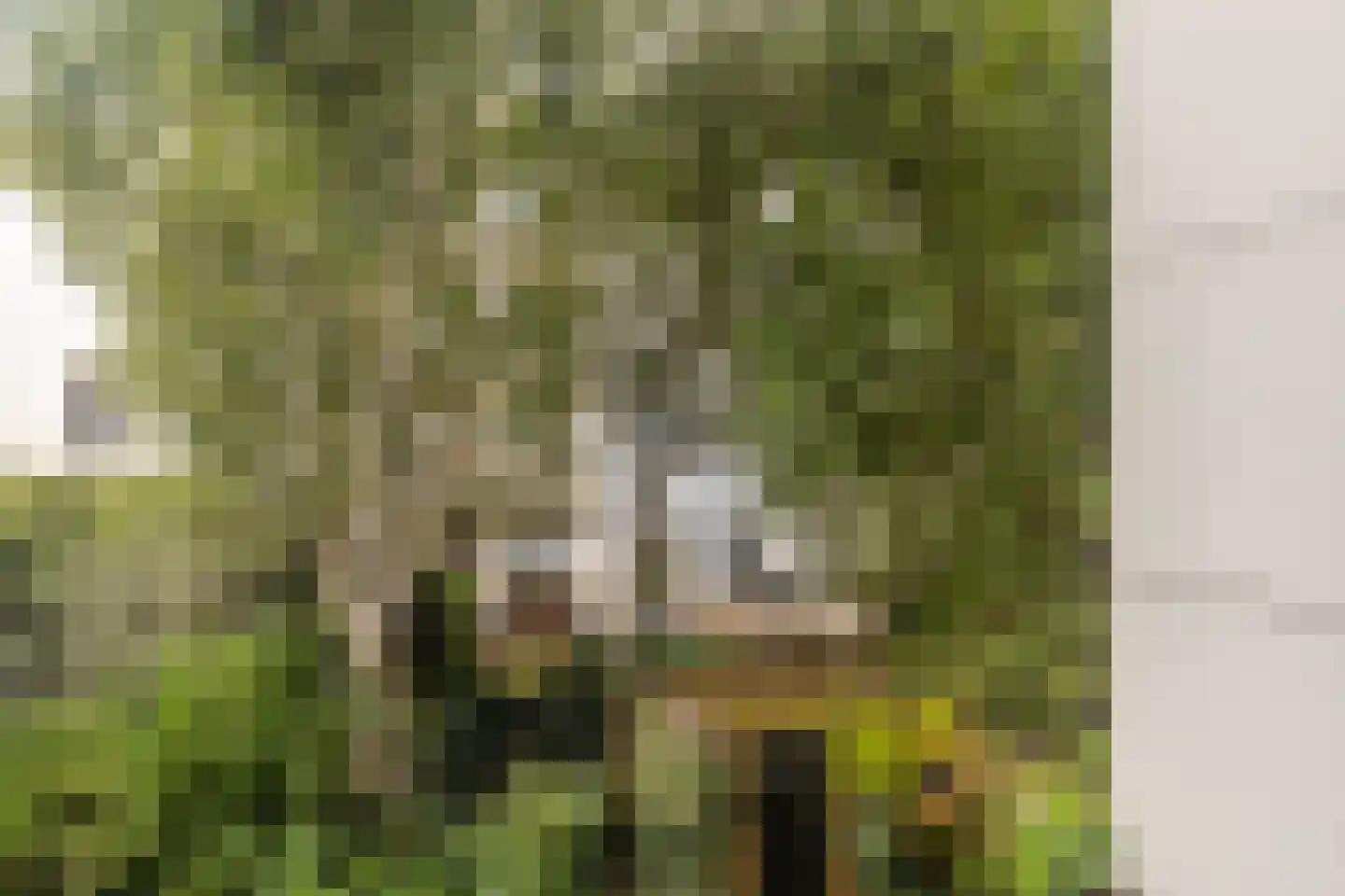 De Wittenkade 130 1 Amsterdam thumbnail 10