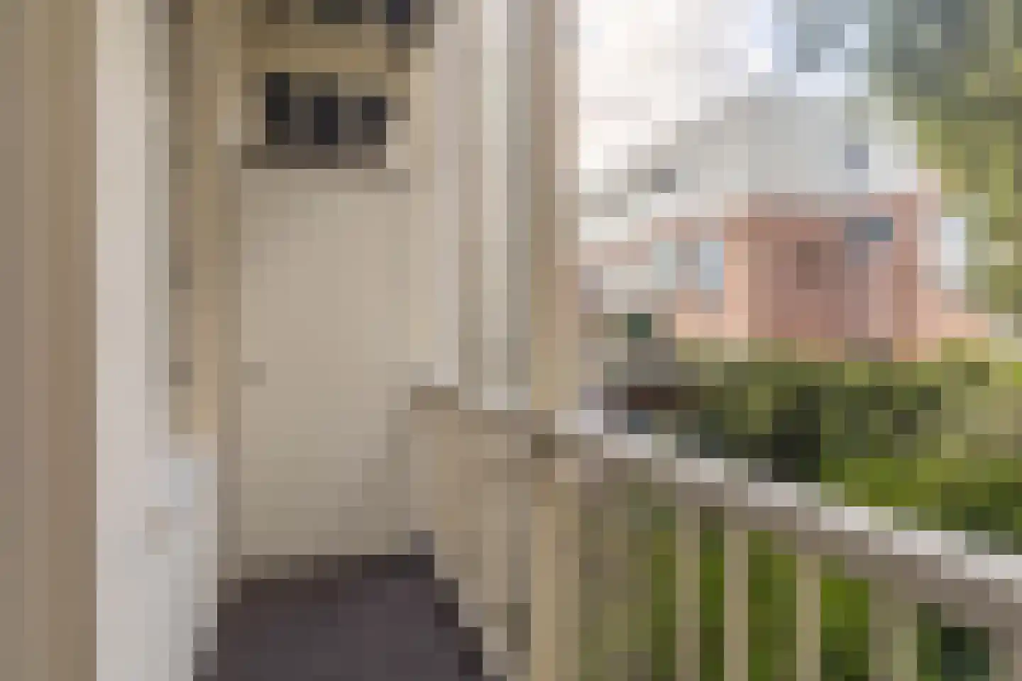 De Wittenkade 130 1 Amsterdam thumbnail 8
