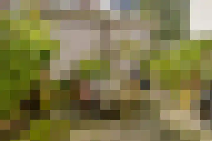 De Wittenkade 134 3 Amsterdam thumbnail 12
