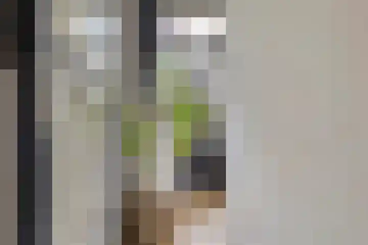 De Wittenkade 134 3 Amsterdam thumbnail 16