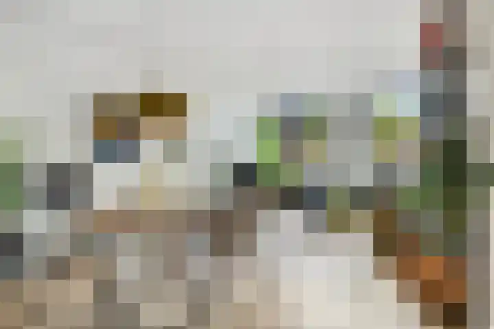 De Wittenkade 134 3 Amsterdam thumbnail 4