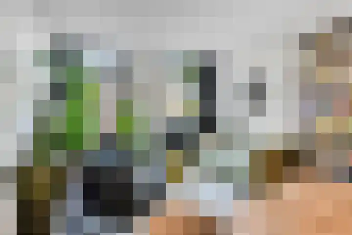 De Wittenkade 134 3 Amsterdam thumbnail 5