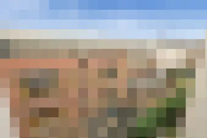 De Wittenkade 144 2 Amsterdam thumbnail 12