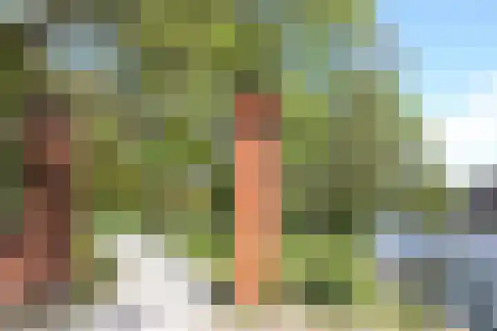 De Wittenkade 144 2 Amsterdam thumbnail 15