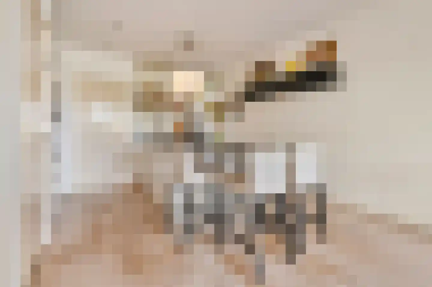 De Wittenkade 19 2 Amsterdam thumbnail 11