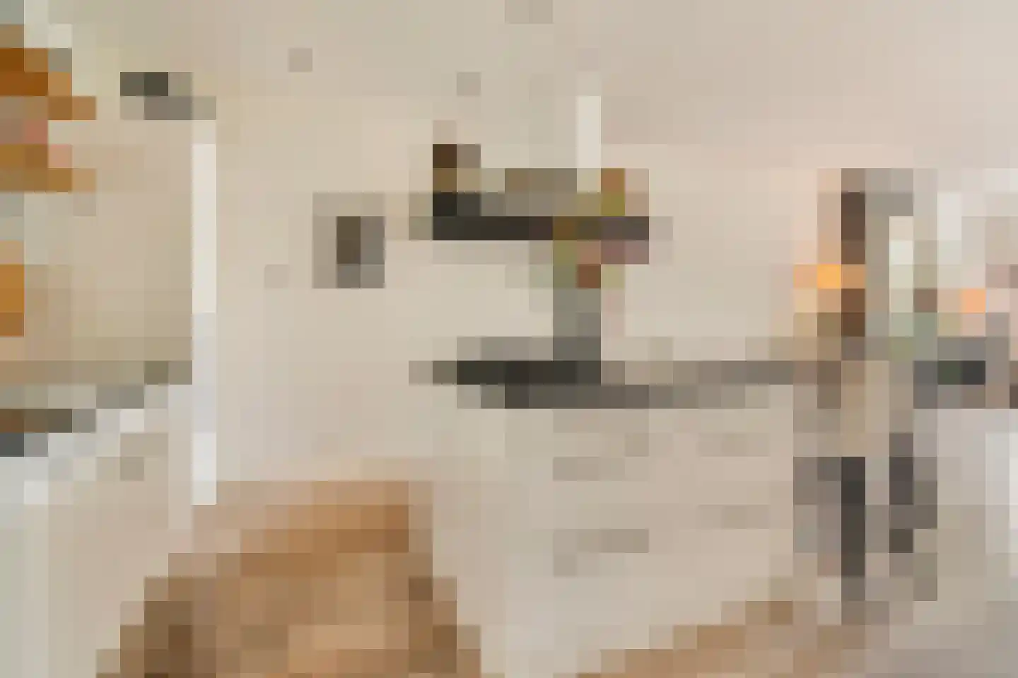 De Wittenkade 19 2 Amsterdam thumbnail 12