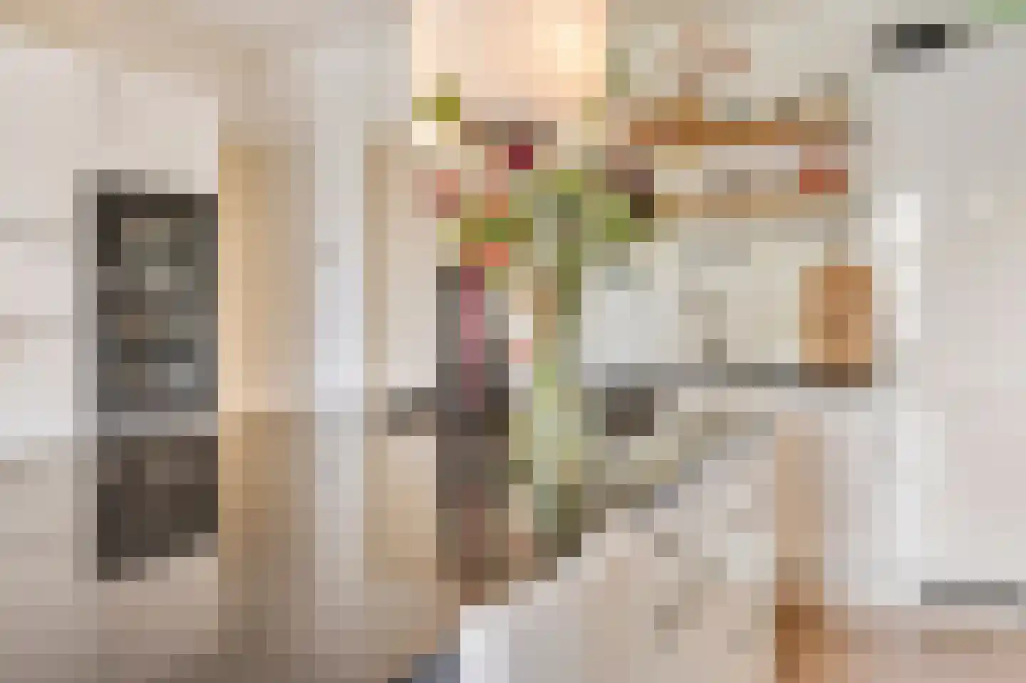 De Wittenkade 19 2 Amsterdam thumbnail 13