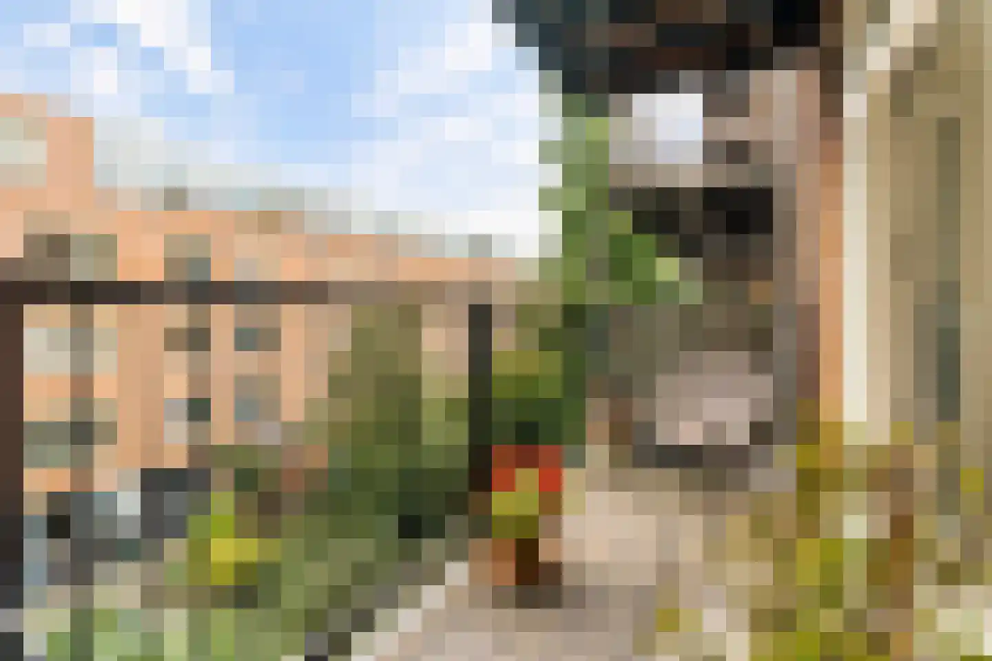 De Wittenkade 19 2 Amsterdam thumbnail 24