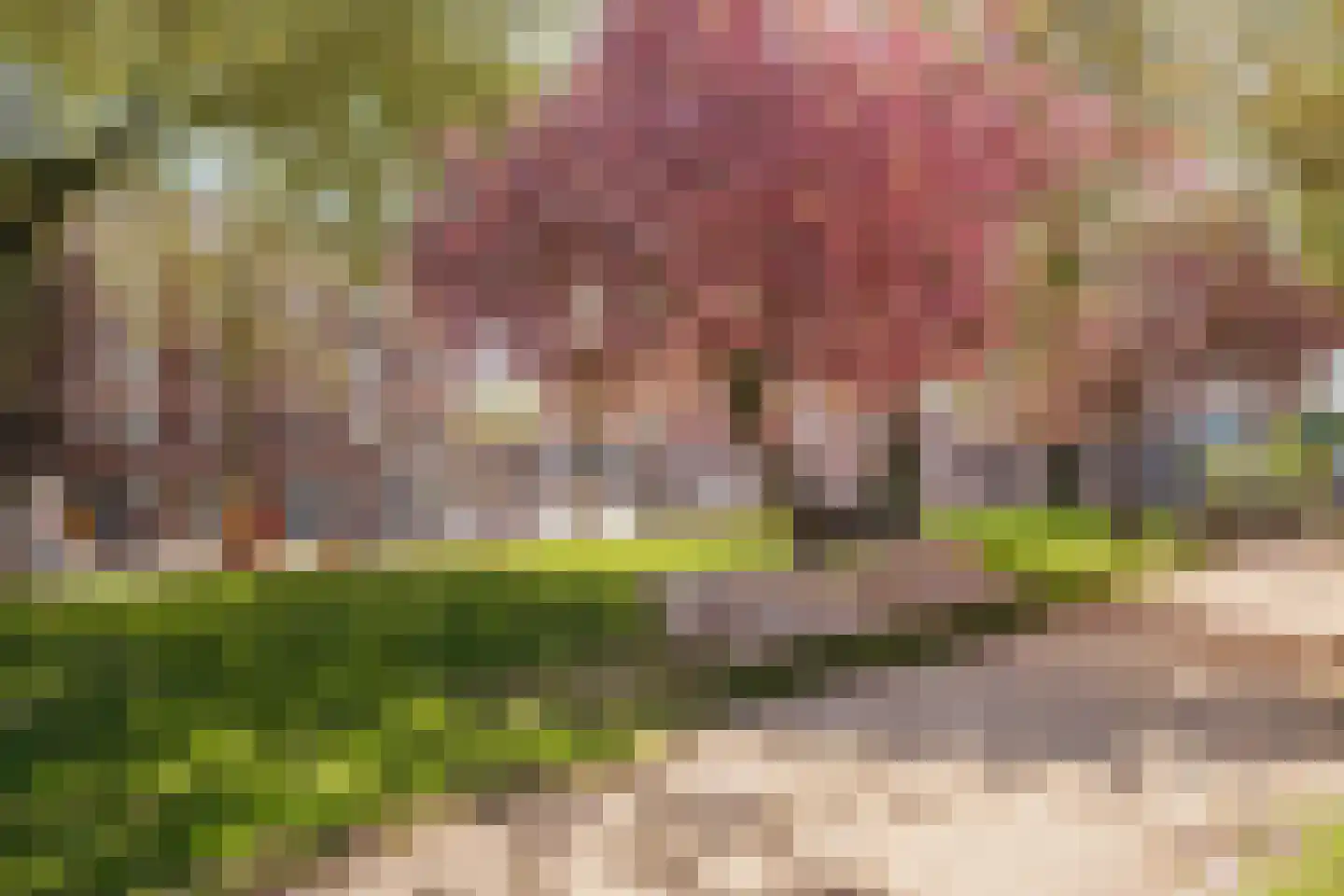 De Wittenkade 19 2 Amsterdam thumbnail 32