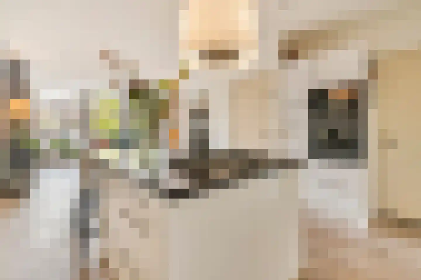 De Wittenkade 19 2 Amsterdam thumbnail 5
