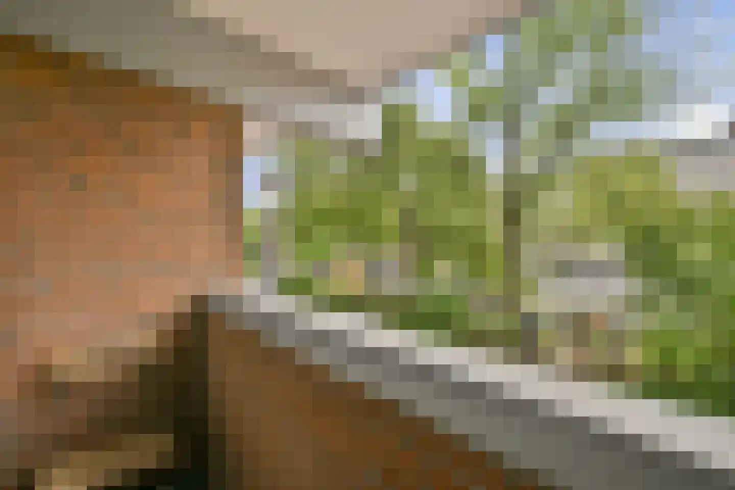 De Wittenkade 20 A Amsterdam thumbnail 13