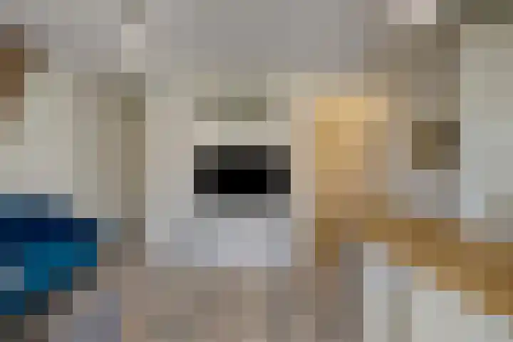 De Wittenkade 23 3A Amsterdam thumbnail 17
