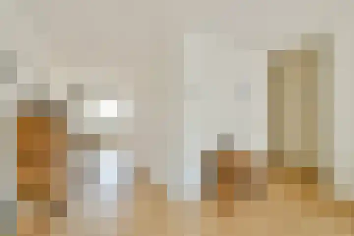 De Wittenkade 239 Amsterdam thumbnail 14