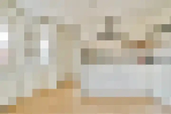 De Wittenkade 239 Amsterdam thumbnail 17