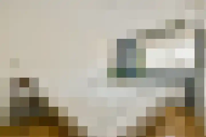 De Wittenkade 239 Amsterdam thumbnail 20