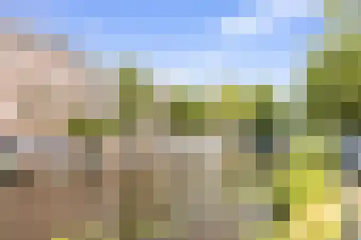 De Wittenkade 239 Amsterdam thumbnail 27