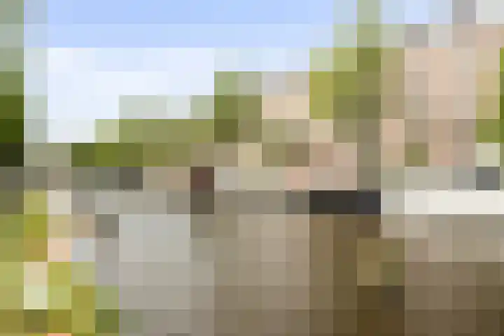 De Wittenkade 239 Amsterdam thumbnail 28