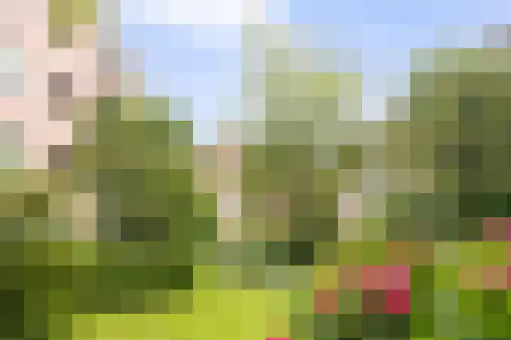 De Wittenkade 239 Amsterdam thumbnail 5