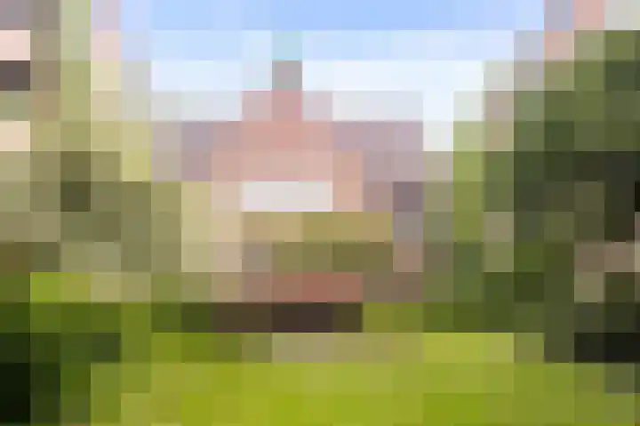 De Wittenkade 239 Amsterdam thumbnail 6