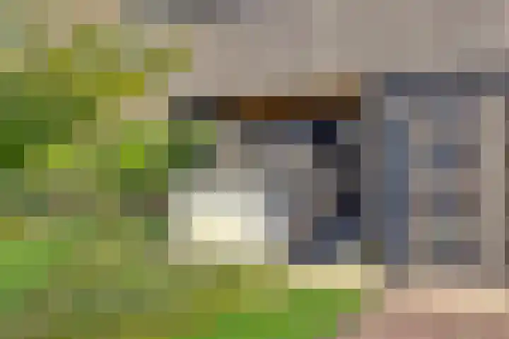 De Wittenkade 239 Amsterdam thumbnail 7