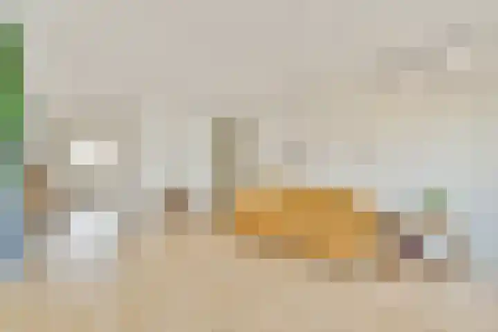 De Wittenkade 239 Amsterdam thumbnail 8