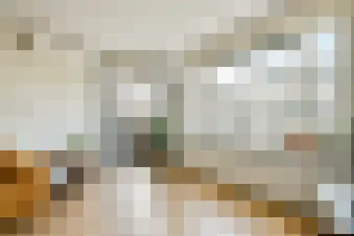 De Wittenkade 239 Amsterdam thumbnail 9