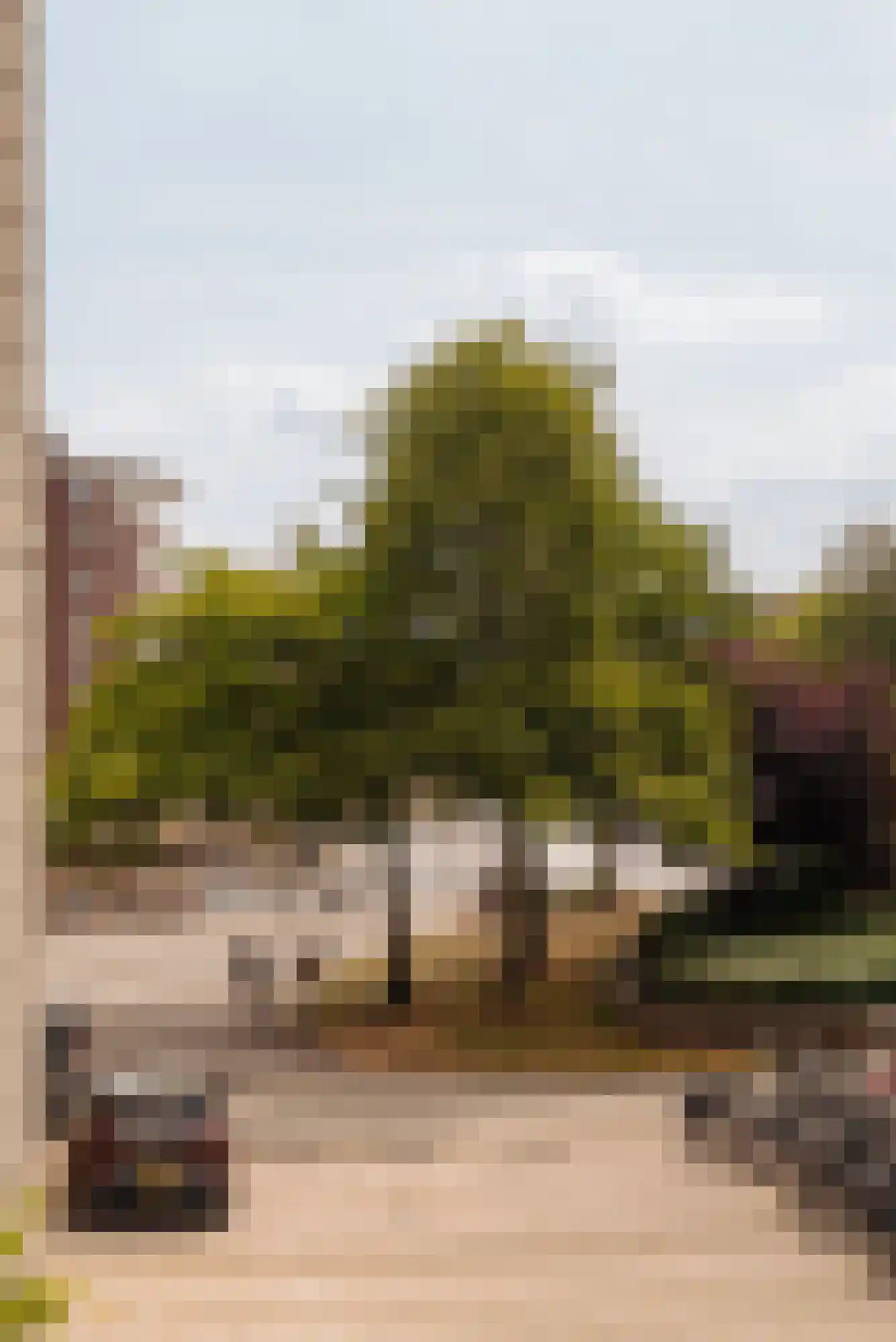 De Wittenkade 287 Amsterdam thumbnail 11