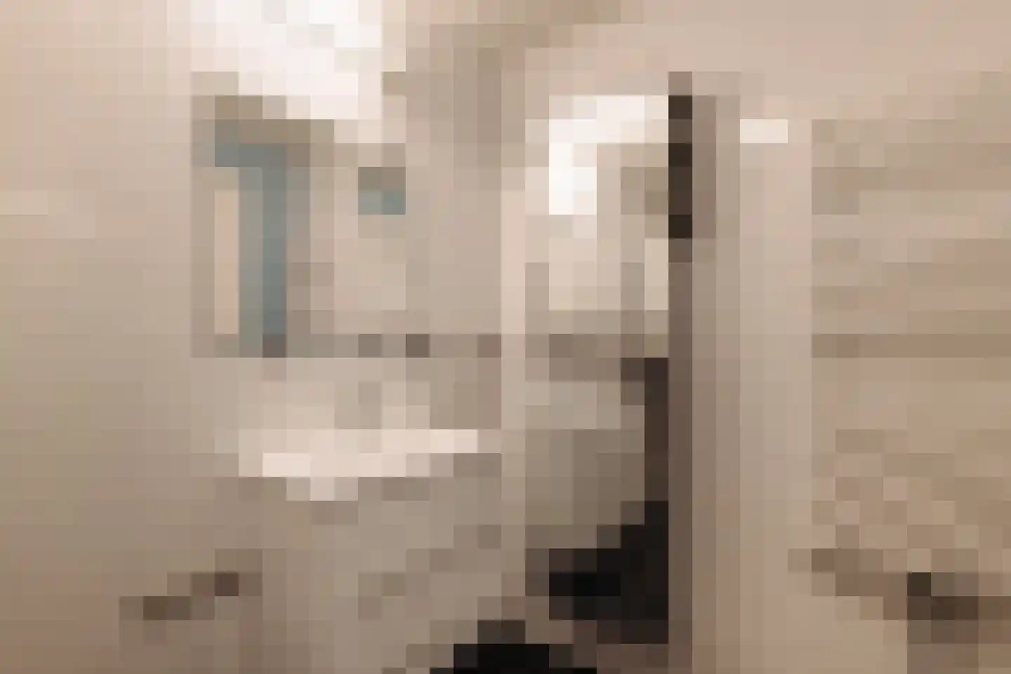De Wittenkade 287 Amsterdam thumbnail 18