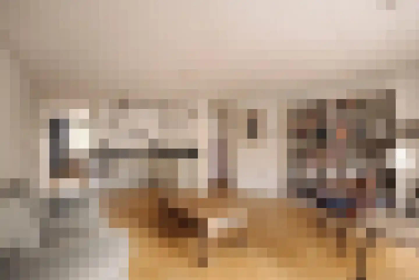 De Wittenkade 287 Amsterdam thumbnail 8