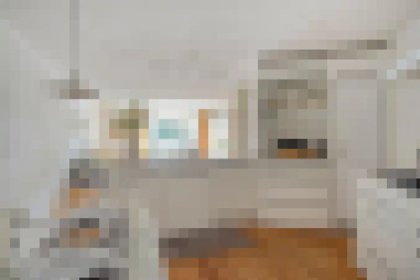 De Wittenkade 293 Amsterdam thumbnail 13