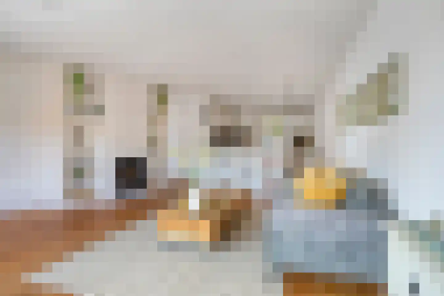 De Wittenkade 293 Amsterdam thumbnail 8