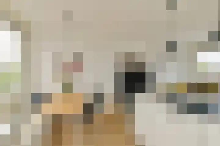 De Wittenkade 30 B Amsterdam thumbnail 12
