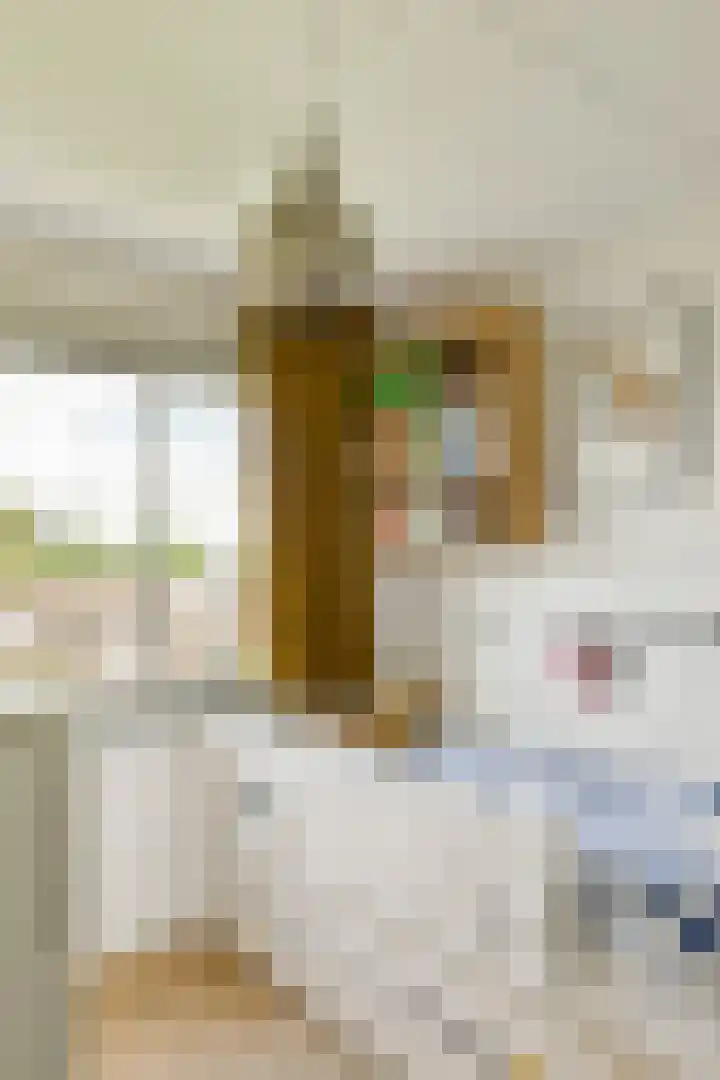 De Wittenkade 30 B Amsterdam thumbnail 17