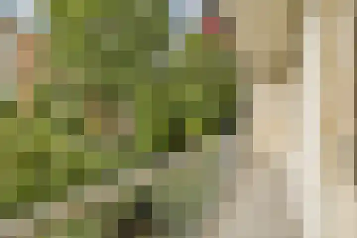 De Wittenkade 31 1L Amsterdam thumbnail 10
