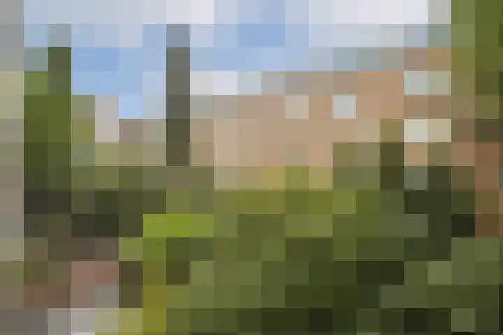 De Wittenkade 31 1L Amsterdam thumbnail 12