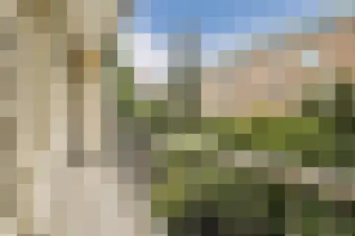 De Wittenkade 31 1L Amsterdam thumbnail 13