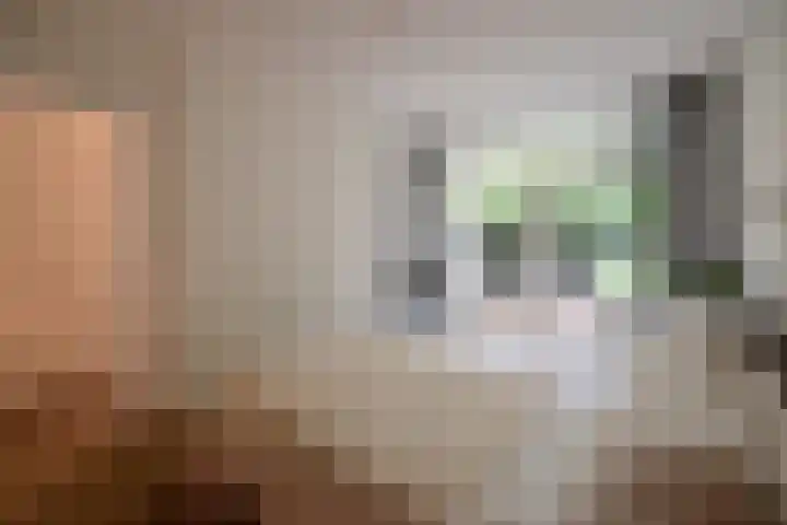 De Wittenkade 31 1L Amsterdam thumbnail 14