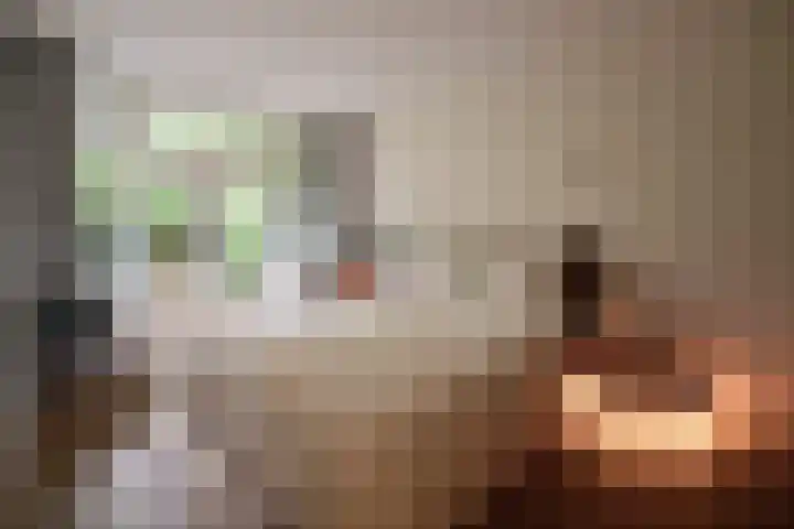 De Wittenkade 31 1L Amsterdam thumbnail 15