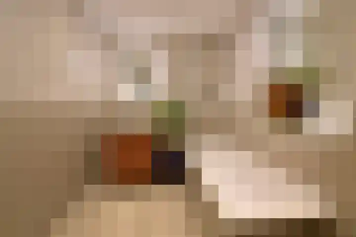 De Wittenkade 31 1L Amsterdam thumbnail 16