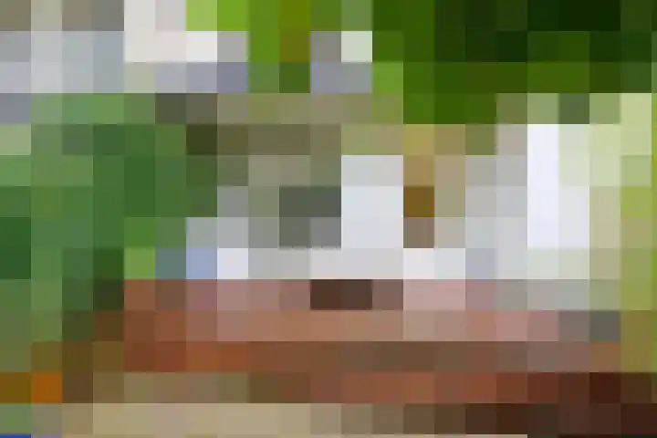 De Wittenkade 31 1L Amsterdam thumbnail 17