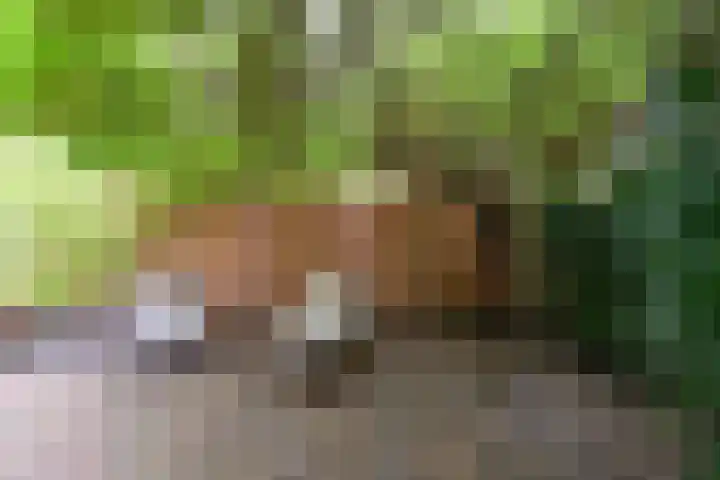 De Wittenkade 31 1L Amsterdam thumbnail 20