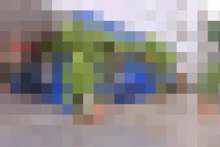 De Wittenkade 31 1L Amsterdam thumbnail 22