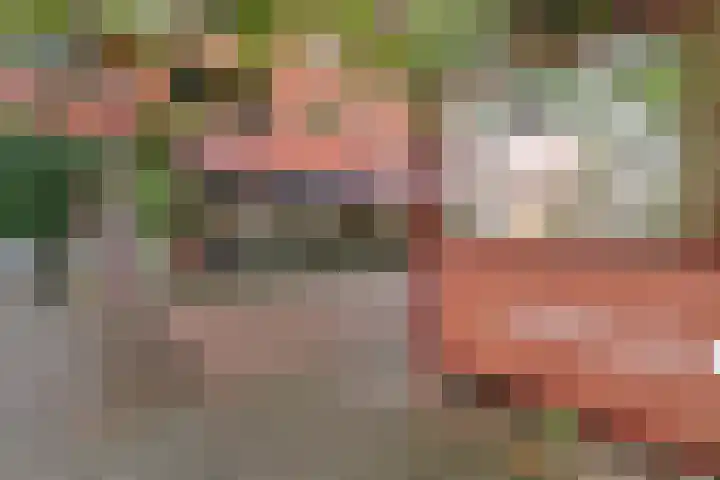 De Wittenkade 31 1L Amsterdam thumbnail 23