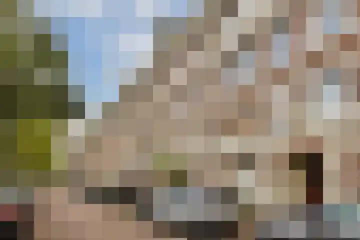 De Wittenkade 31 1L Amsterdam thumbnail 4