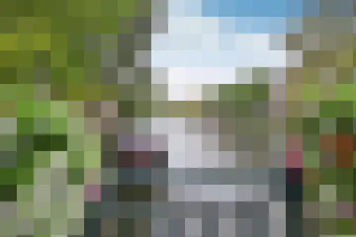 De Wittenkade 31 1L Amsterdam thumbnail 6