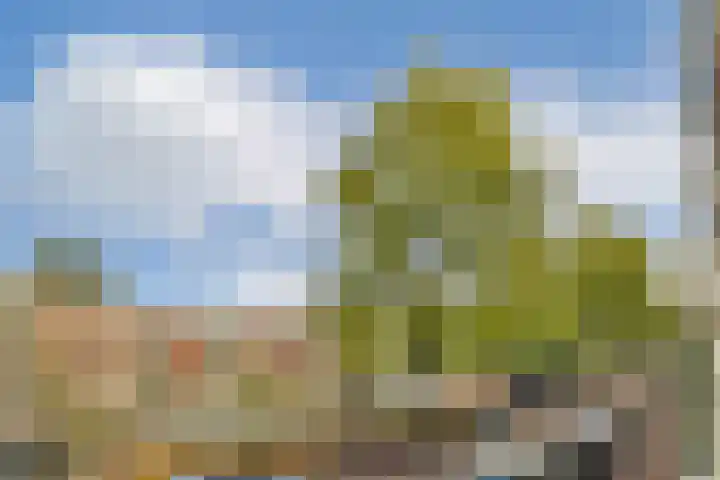 De Wittenkade 31 1L Amsterdam thumbnail 7