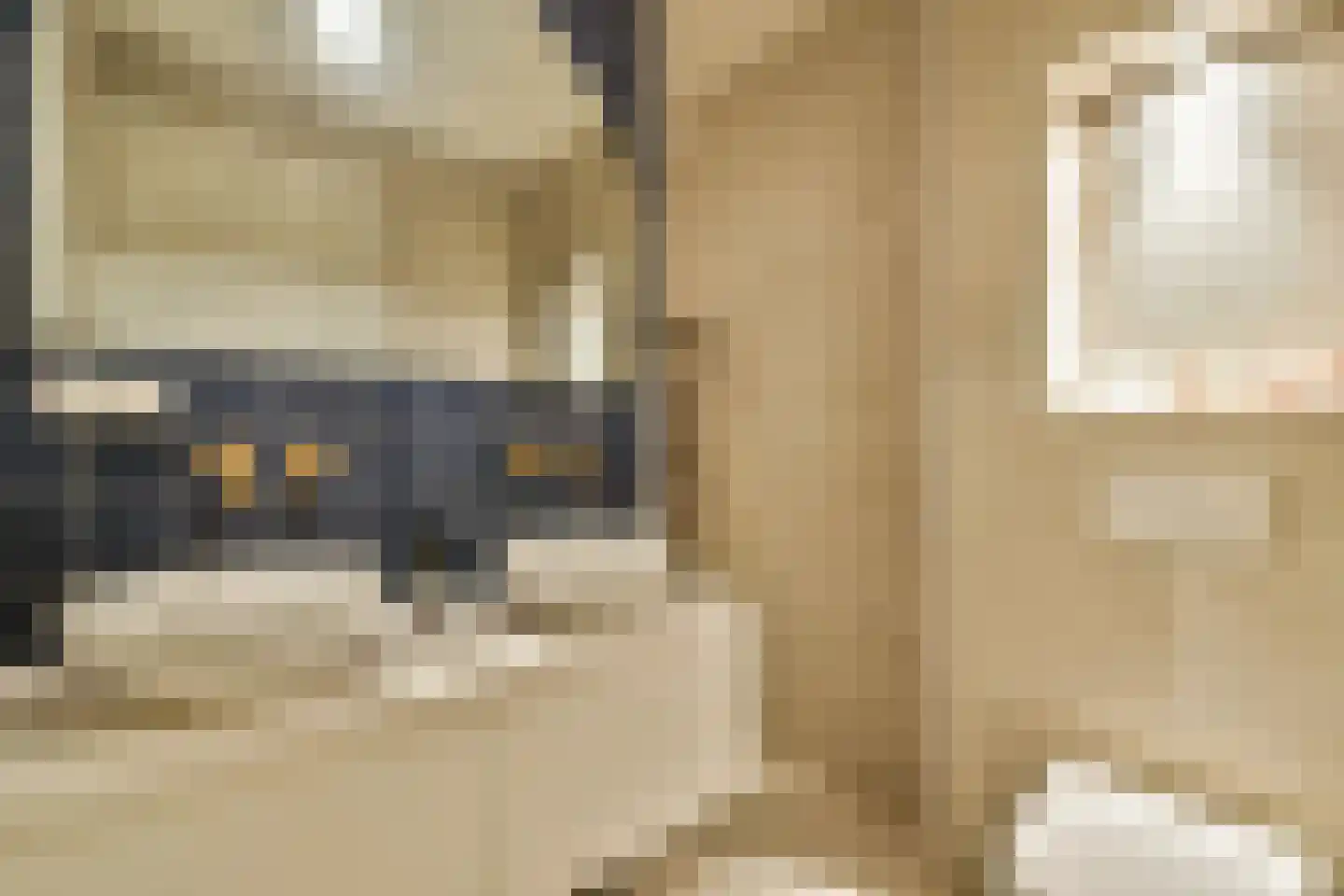 De Wittenkade 31 2R Amsterdam thumbnail 18