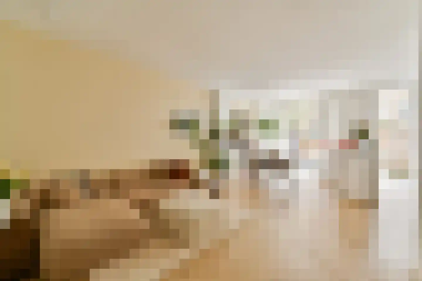 De Wittenkade 31 2R Amsterdam thumbnail 5