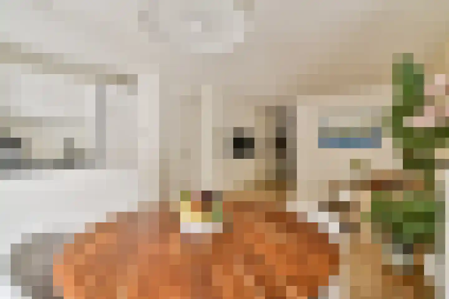 De Wittenkade 31 2R Amsterdam thumbnail 6